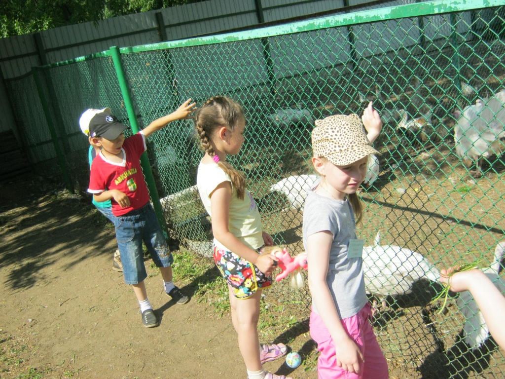 IMG_5179.JPG