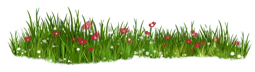 grass-17-.png