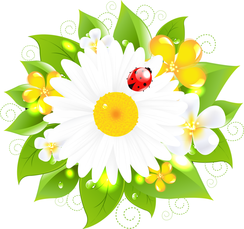 0_8267d_3f475a0f_XL.png